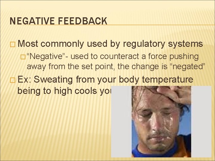 NEGATIVE FEEDBACK � Most commonly used by regulatory systems � “Negative”- used to counteract
