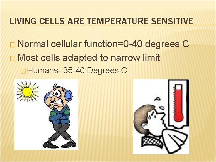 LIVING CELLS ARE TEMPERATURE SENSITIVE � Normal cellular function=0 -40 degrees C � Most