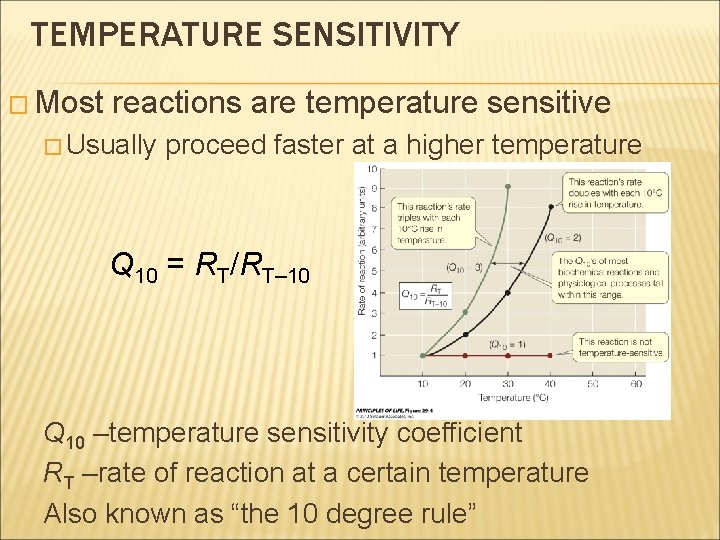 TEMPERATURE SENSITIVITY � Most reactions are temperature sensitive � Usually proceed faster at a