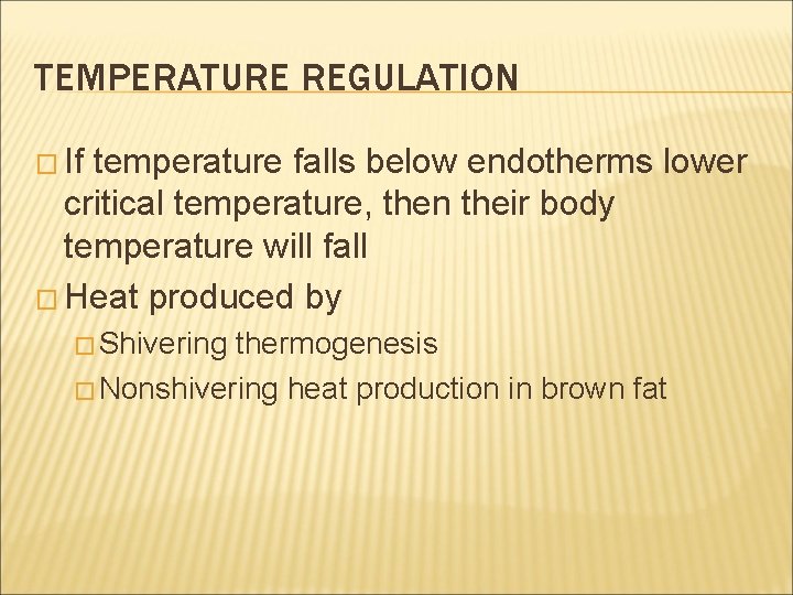 TEMPERATURE REGULATION � If temperature falls below endotherms lower critical temperature, then their body