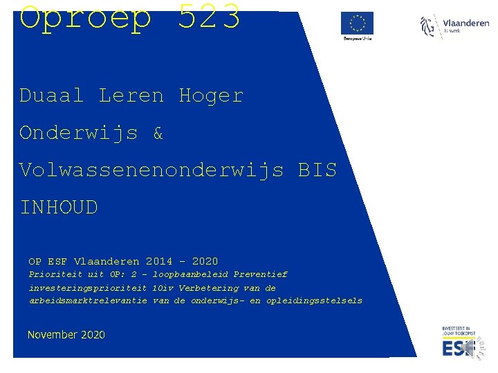 Oproep 523 Duaal Leren Hoger Onderwijs & Volwassenenonderwijs BIS INHOUD OP ESF Vlaanderen 2014