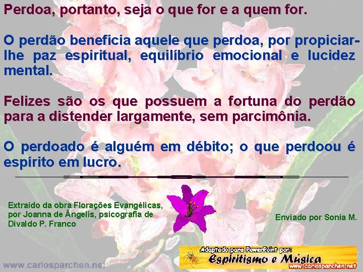 Perdoa, portanto, seja o que for e a quem for. O perdão beneficia aquele