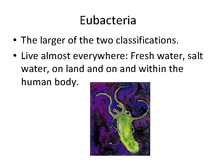 Eubacteria • The larger of the two classifications. • Live almost everywhere: Fresh water,