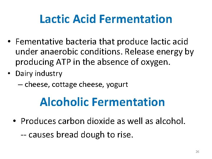 Lactic Acid Fermentation • Fementative bacteria that produce lactic acid under anaerobic conditions. Release