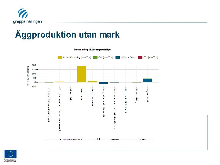 Äggproduktion utan mark 