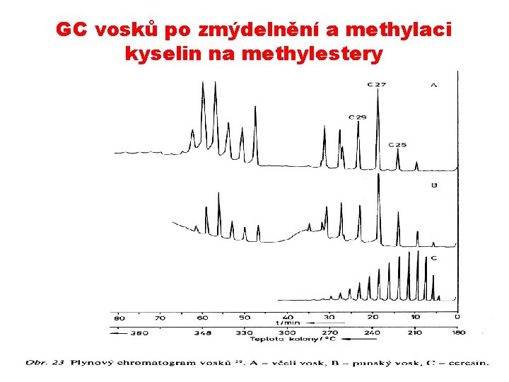 GC vosků po zmýdelnění a methylaci kyselin na methylestery 14. 11. 2013 PŘÍRODNÍ POLYMERY