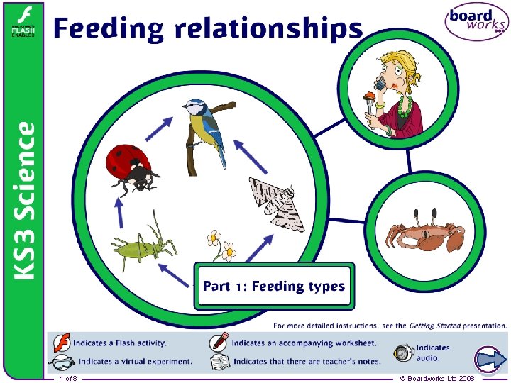 Feeding relationships 1 of 8 © Boardworks Ltd 2008 