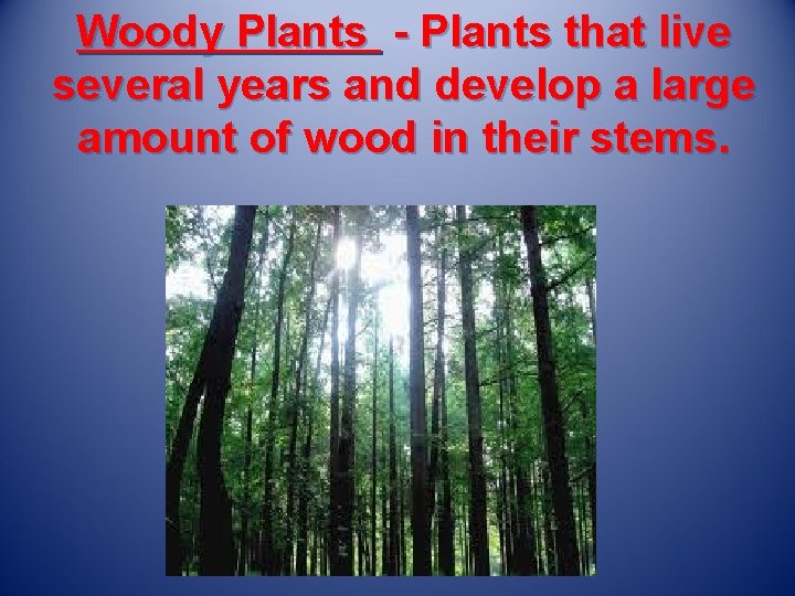 Woody Plants - Plants that live several years and develop a large amount of