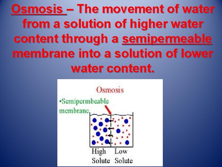 Osmosis – The movement of water from a solution of higher water content through