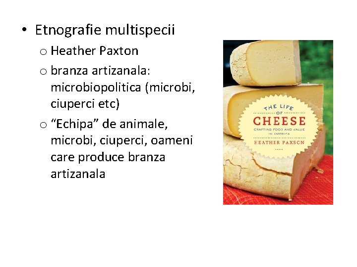  • Etnografie multispecii o Heather Paxton o branza artizanala: microbiopolitica (microbi, ciuperci etc)