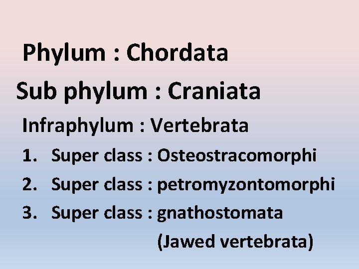 Phylum : Chordata Sub phylum : Craniata Infraphylum : Vertebrata 1. Super class :