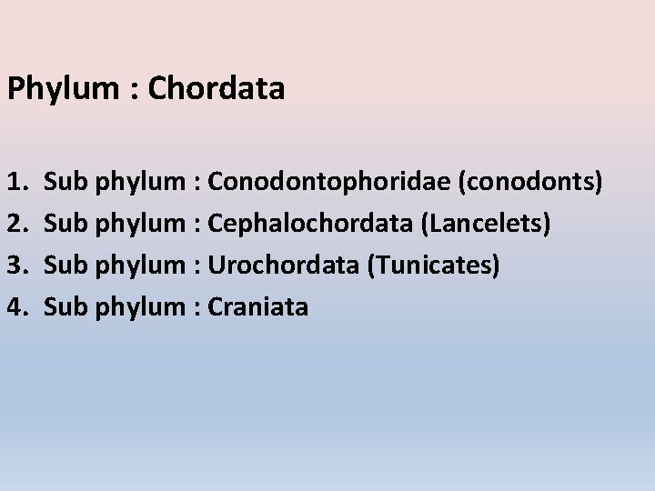 Phylum : Chordata 1. 2. 3. 4. Sub phylum : Conodontophoridae (conodonts) Sub phylum