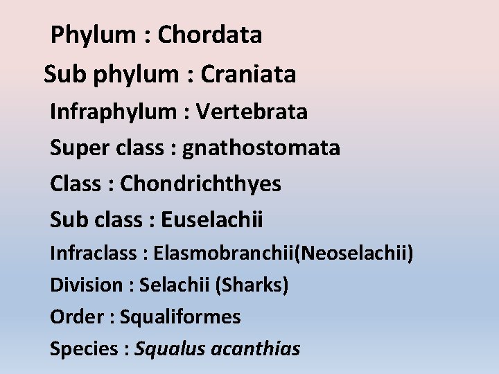 Phylum : Chordata Sub phylum : Craniata Infraphylum : Vertebrata Super class : gnathostomata