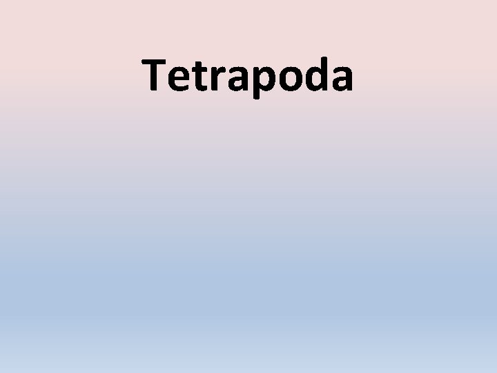 Tetrapoda 