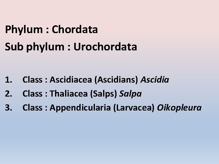 Phylum : Chordata Sub phylum : Urochordata 1. 2. 3. Class : Ascidiacea (Ascidians)