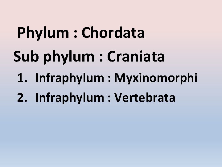 Phylum : Chordata Sub phylum : Craniata 1. Infraphylum : Myxinomorphi 2. Infraphylum :