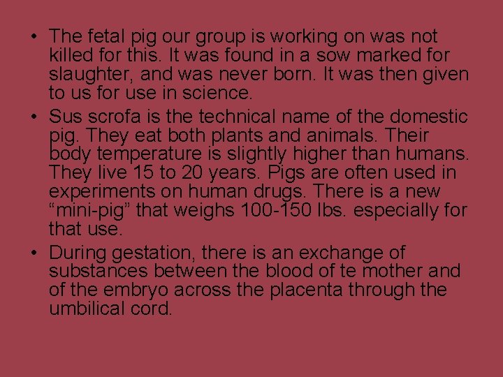  • The fetal pig our group is working on was not killed for