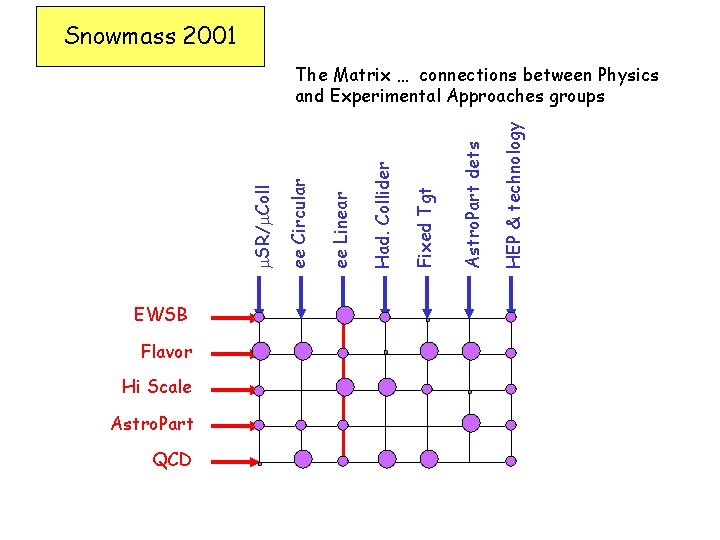 Snowmass 2001 EWSB Flavor Hi Scale Astro. Part QCD HEP & technology Astro. Part