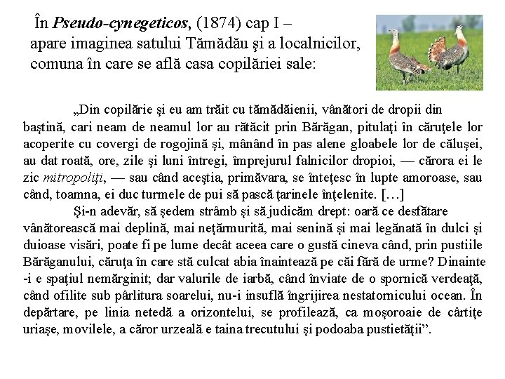 În Pseudo-cynegeticos, (1874) cap I – apare imaginea satului Tămădău şi a localnicilor, comuna