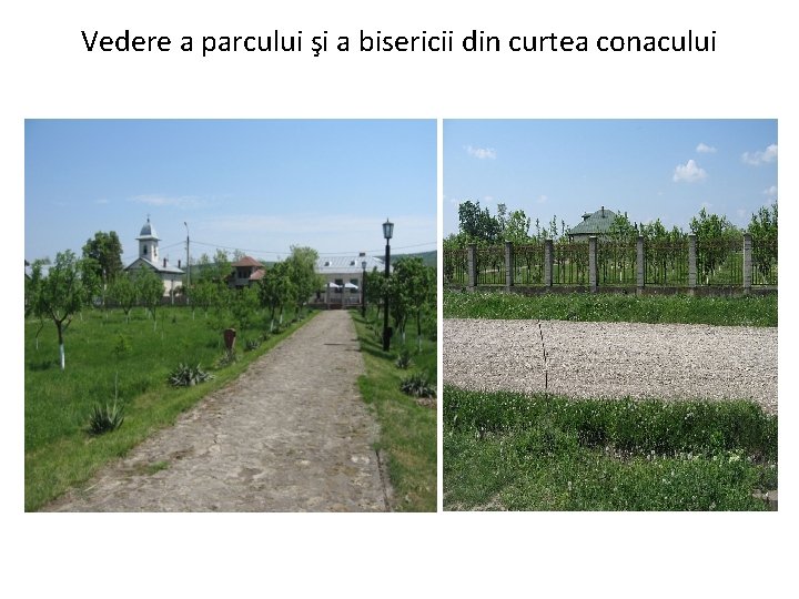 Vedere a parcului şi a bisericii din curtea conacului 