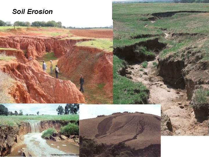 Soil Erosion 