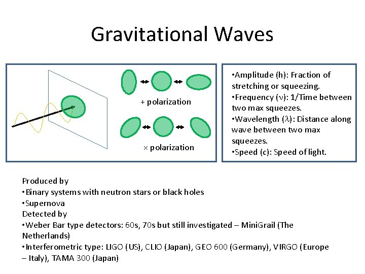 Gravitational Waves + polarization × polarization • Amplitude (h): Fraction of stretching or squeezing.