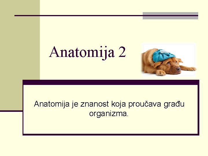 Anatomija 2 Anatomija je znanost koja proučava građu organizma. 