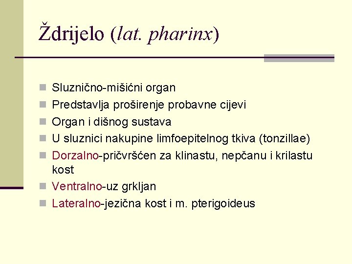 Ždrijelo (lat. pharinx) n Sluznično-mišićni organ n Predstavlja proširenje probavne cijevi n Organ i