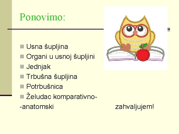 Ponovimo: n Usna šupljina n Organi u usnoj šupljini n Jednjak n Trbušna šupljina