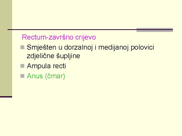 Rectum-završno crijevo n Smješten u dorzalnoj i medijanoj polovici zdjelične šupljine n Ampula recti