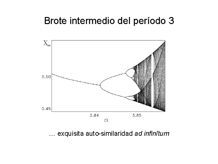 Brote intermedio del período 3 … exquisita auto-similaridad ad infinítum 