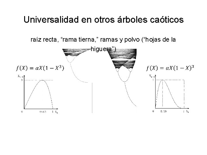 Universalidad en otros árboles caóticos raíz recta, “rama tierna, ” ramas y polvo (“hojas