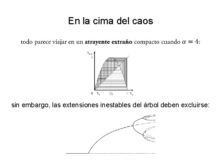 En la cima del caos sin embargo, las extensiones inestables del árbol deben excluirse: