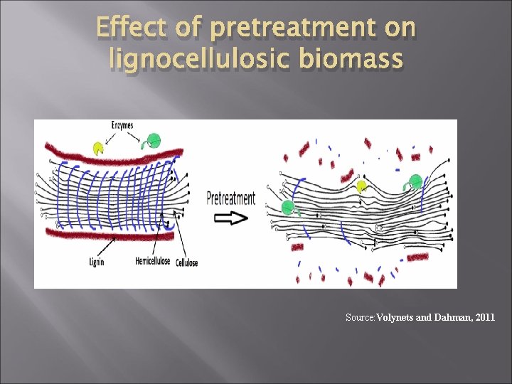 Effect of pretreatment on lignocellulosic biomass Source: Volynets and Dahman, 2011 