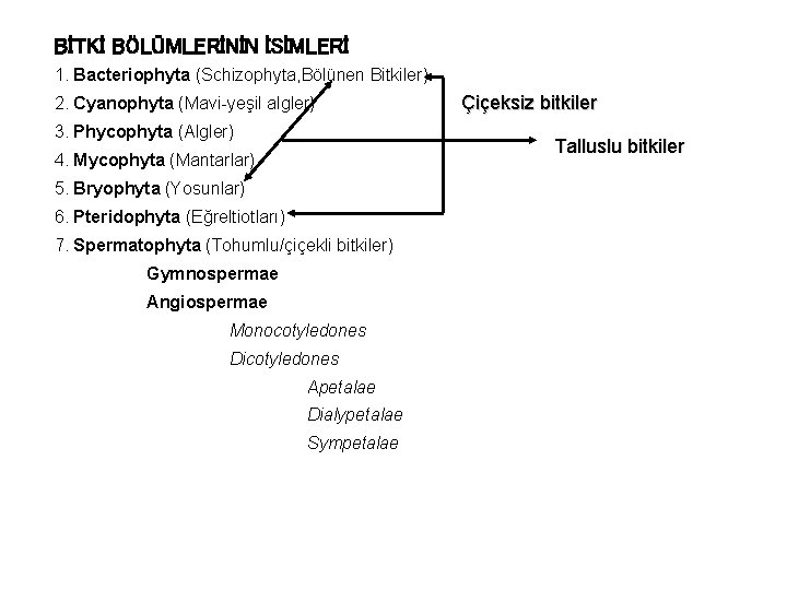 BİTKİ BÖLÜMLERİNİN İSİMLERİ 1. Bacteriophyta (Schizophyta, Bölünen Bitkiler) 2. Cyanophyta (Mavi-yeşil algler) 3. Phycophyta