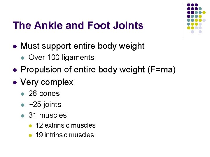 The Ankle and Foot Joints l Must support entire body weight l l l