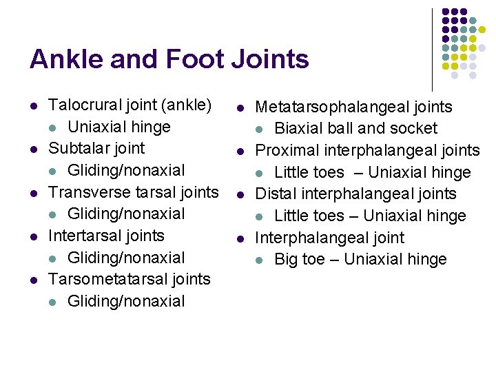 Ankle and Foot Joints l l l Talocrural joint (ankle) l Uniaxial hinge Subtalar