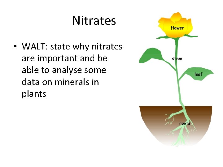 Nitrates • WALT: state why nitrates are important and be able to analyse some