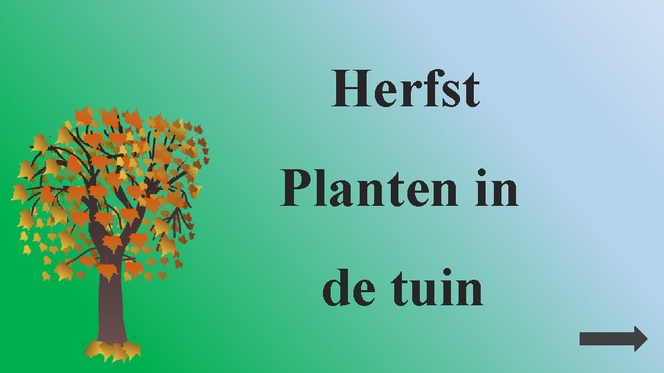 Herfst Planten in de tuin 