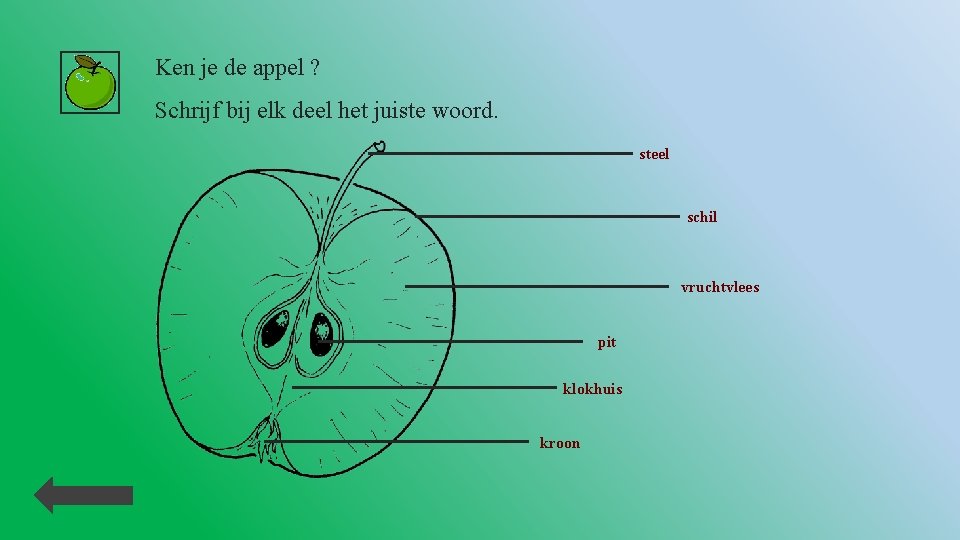 Ken je de appel ? Schrijf bij elk deel het juiste woord. steel schil