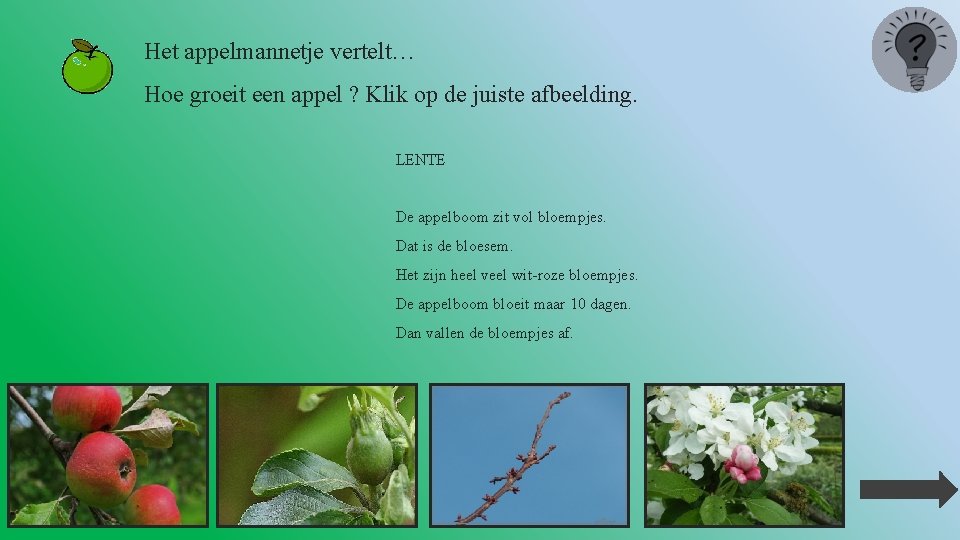 Het appelmannetje vertelt… Hoe groeit een appel ? Klik op de juiste afbeelding. LENTE