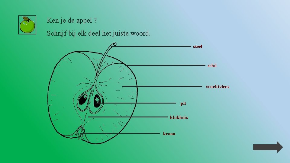 Ken je de appel ? Schrijf bij elk deel het juiste woord. steel schil