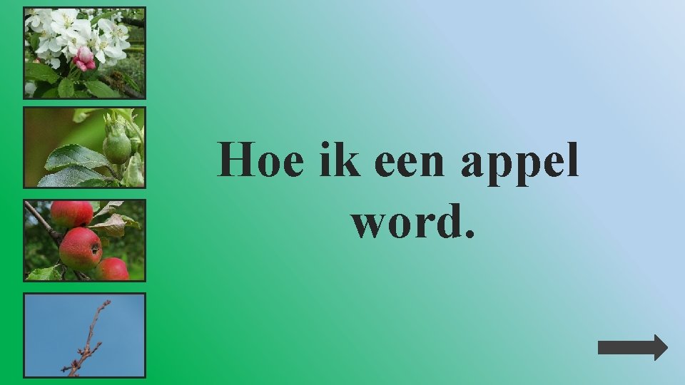 Hoe ik een appel word. 