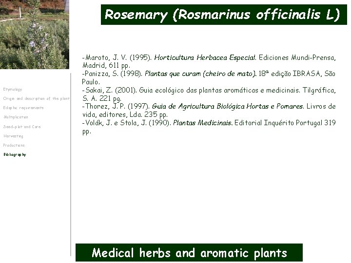 Rosemary (Rosmarinus officinalis L) Etymology Origin and description of the plant Edaphic requirements Multiplication