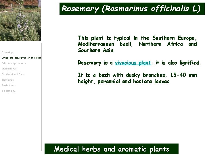 Rosemary (Rosmarinus officinalis L) Etymology Origin and description of the plant Edaphic requirements This