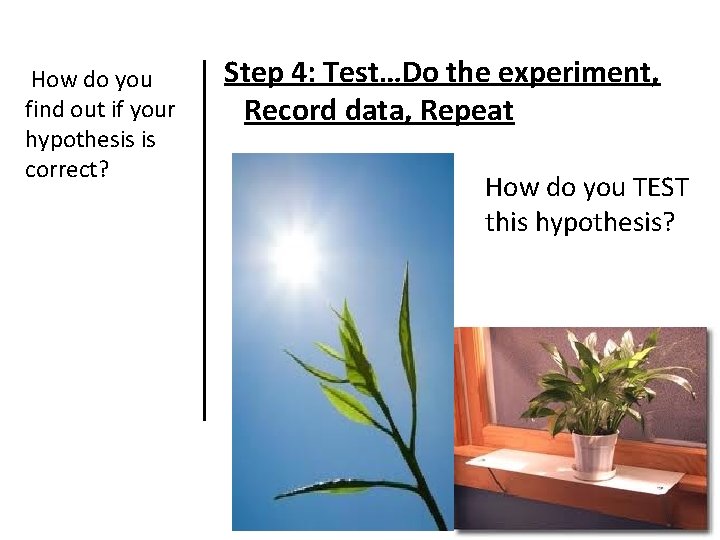 How do you find out if your hypothesis is correct? Step 4: Test…Do the