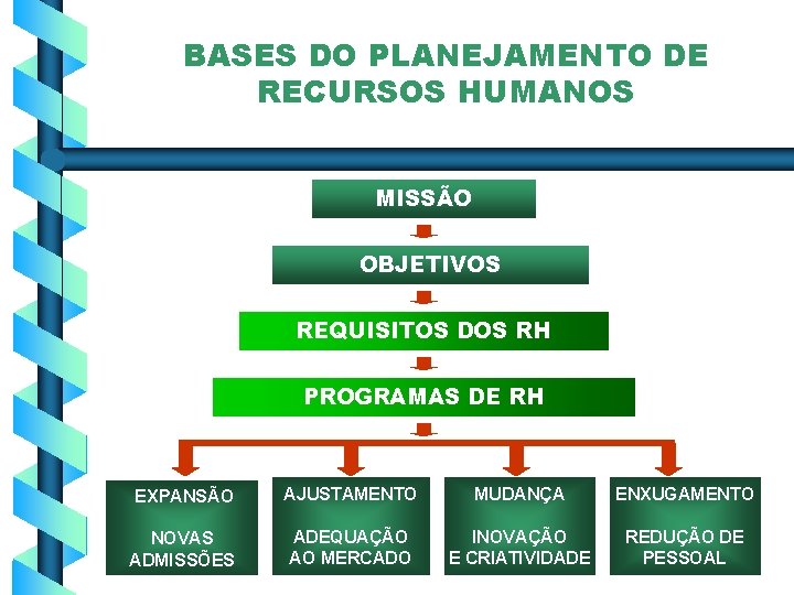 BASES DO PLANEJAMENTO DE RECURSOS HUMANOS MISSÃO OBJETIVOS REQUISITOS DOS RH PROGRAMAS DE RH