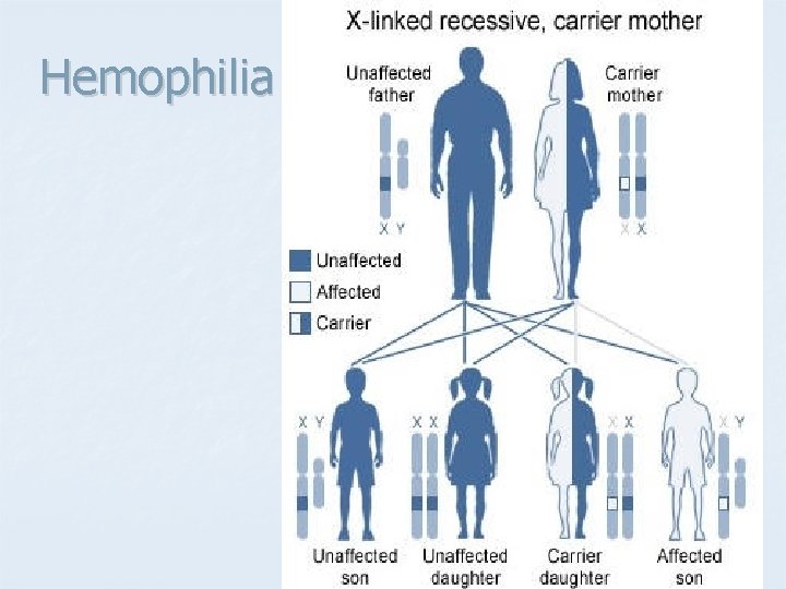 Hemophilia 