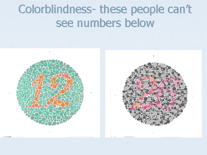 Colorblindness- these people can’t see numbers below 