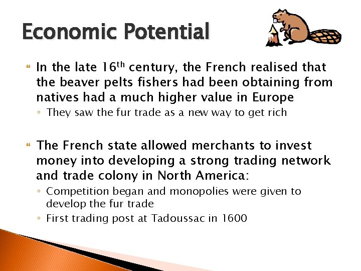 Economic Potential In the late 16 th century, the French realised that the beaver